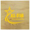 ChromaLuxe Natural Wood Sublimation Plaque Panel, 10" x 10" x 0.625", Clear Matte on Maple Thumbnail